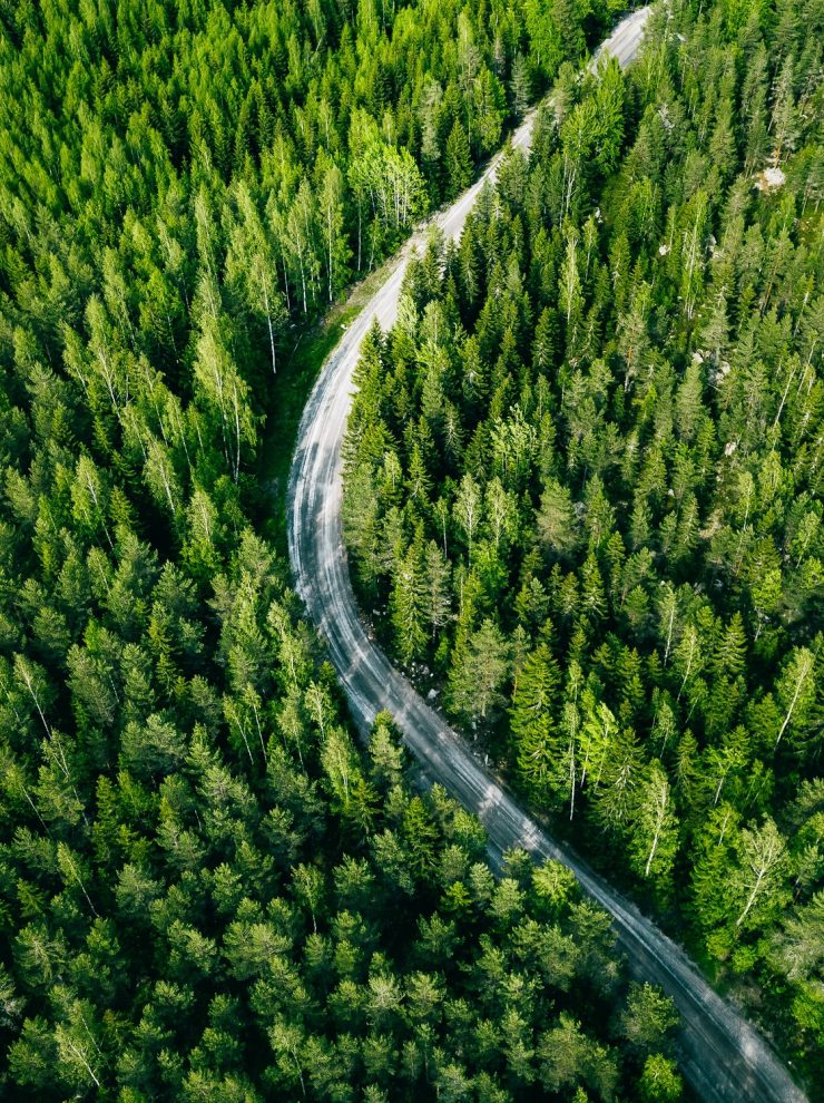 Aerial view of green forest road. Curved road from above.